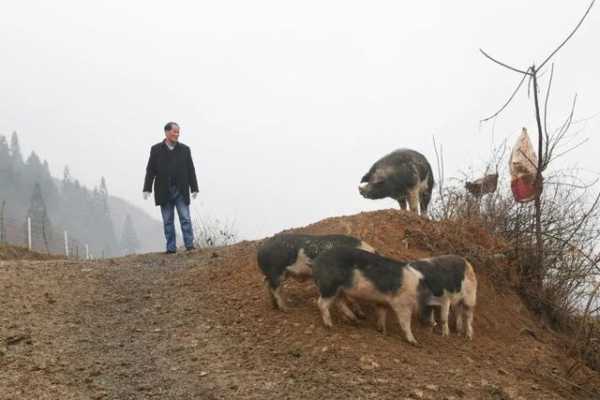 新春走基层 | 踏遍山水人未老-4.jpg