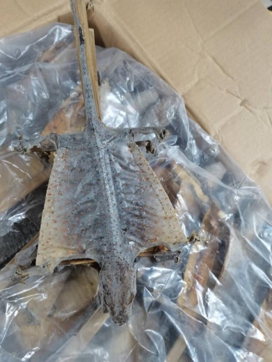 西南首家进境中药材加工存放企业顺利完成海关备案 1万只印尼干制蛤蚧入渝-2.jpg