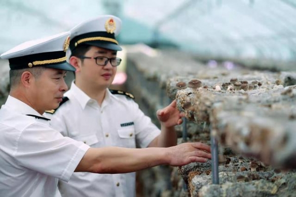 优环境促外贸 鞍山海关助力地方经济发展-3.jpg