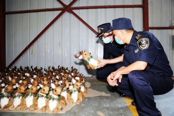 优环境促外贸 鞍山海关助力地方经济发展-6.jpg