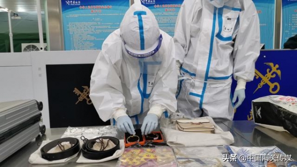 三名进境旅客神色、行为异常，海关一查还真有“问题”-3.jpg