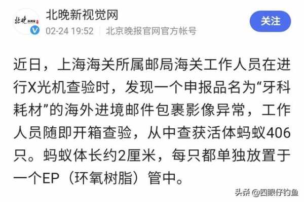 上海海关查获406只活体蚂蚁，入侵物种危害有多大，看看清道夫-1.jpg