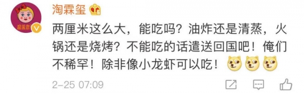 看完头皮发麻！上海海关查获406只活体蚂蚁！这也能当宠物养？-18.jpg