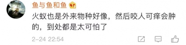 看完头皮发麻！上海海关查获406只活体蚂蚁！这也能当宠物养？-19.jpg