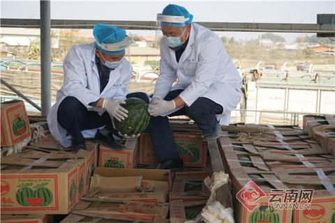 云南章凤口岸进出口贸易量首次突破100万吨-2.jpg