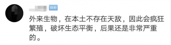 头皮发麻！上海海关查获406只活体蚂蚁，每只体长2厘米！还真有人拿它们当宠物？-6.jpg