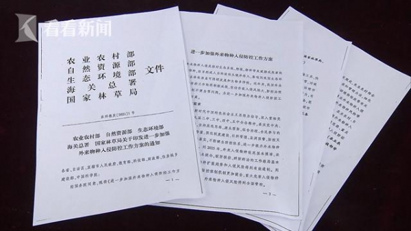 惊现巨型蚂蚁！上海海关截获一批外来入侵物种-5.jpg