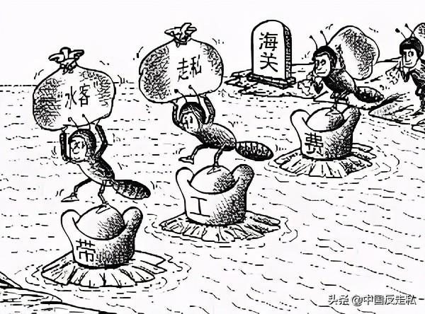 【中国反走私】2021 ，深圳海关打私人这样干！-5.jpg