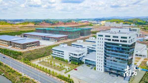 梅州海关：精准施策 为革命老区振兴发展注入新动能-2.jpg