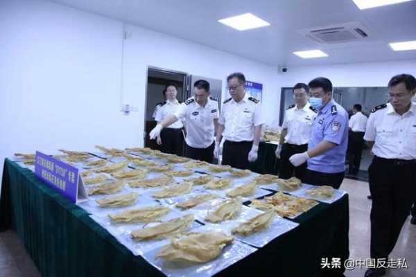 【中国反走私】江门海关召开2021年关区缉私工作会议-4.jpg