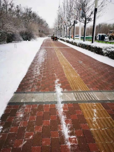 应对大雪 保税区连夜行动-12.jpg