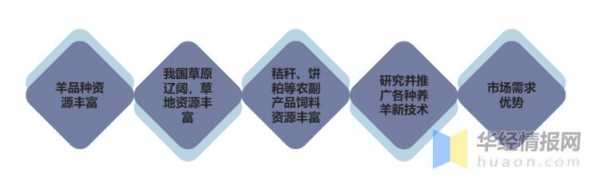2020年中国羊养殖业发展现状、进出口及发展优势分析「图」-7.jpg