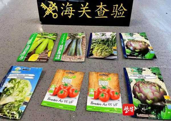 海关提醒：“洋种子”和“舶来肉”切勿随意携带入境-1.jpg