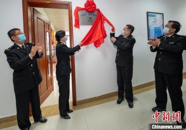 南宁海关成立RCEP研究室 服务国内产业开拓国际市场-1.jpg