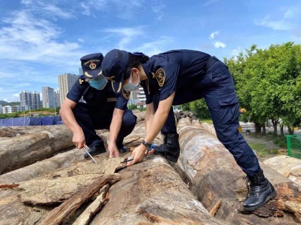 “全国巾帼建功标兵” 杨利敏：“铿锵玫瑰”绽放在海关一线-1.jpg