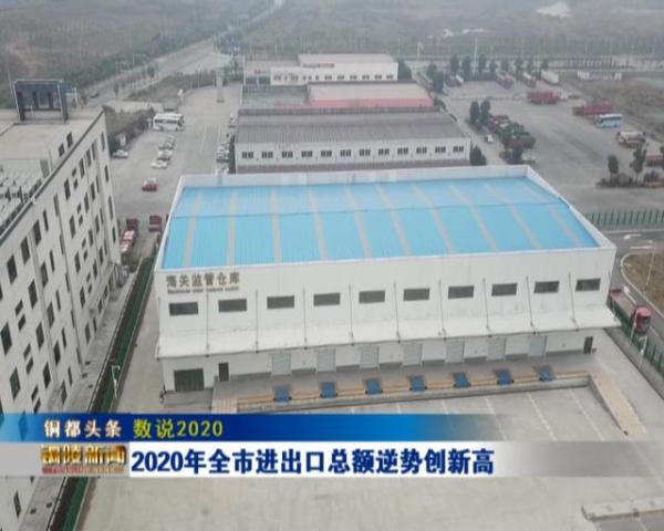 2020年全市进出口总额逆势创新高-1.jpg
