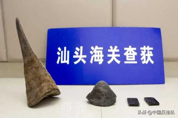 【中国反走私】汕头海关全面推进打私工作高质量发展-3.jpg