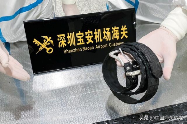 深圳宝安机场海关查获7条鳄鱼皮带-2.jpg