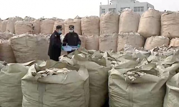 1423余吨“扇贝壳”散发异味 海关一查竟是洋垃圾-1.jpg