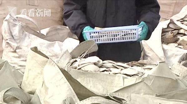 1423余吨“扇贝壳”散发异味 海关一查竟是洋垃圾-3.jpg
