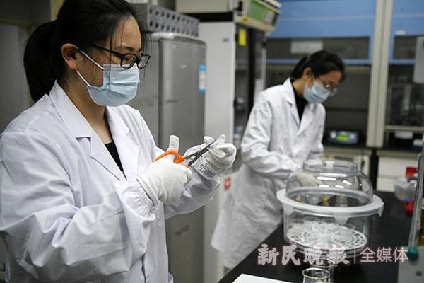 上海海关：进口婴童消费品抽检不合格率47.7% 文具不合格率91.7%-3.jpg