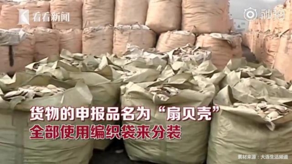 1423余吨“扇贝壳”散发异味 海关一查全是洋垃圾-2.jpg