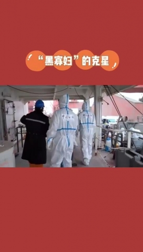 一网打尽！海关查获21只活体棕色寡妇蛛-1.jpg