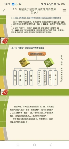 报关316国际货运代理责任-9.jpg