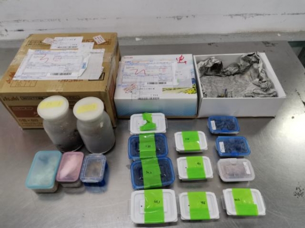 摇身一变成“日用品”？北京海关截获可疑包裹，打开一看震惊了-1.jpg