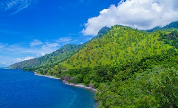 全国首单！咖啡豆中的“劳斯莱斯”抵达奉贤综合保税区-5.jpg