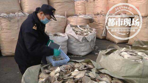 全是扇贝壳！大连海关查获1423.8吨“洋垃圾”装了3000个袋子-3.jpg