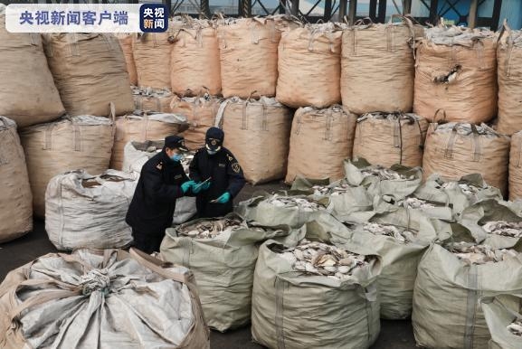 大连海关查获“洋垃圾”1423.8吨-1.jpg