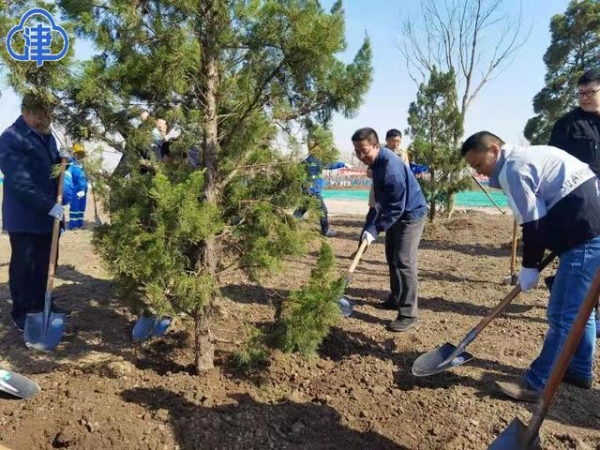 天津港保税区修复海洋岸线生态 为城市“绿肺”增氧-1.jpg