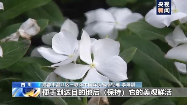 奋斗百年路 启航新征程丨四川自贸试验区累计新设企业14万家 进出口总额超过2700亿元-3.jpg