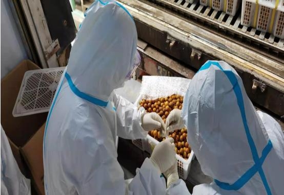 今年1~2月 文山州外贸进出口增长8.2%-2.jpg