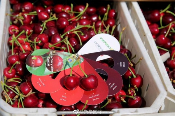 中国人一年吃掉世界樱桃进出口量的70%，市场规模太惊人-1.jpg