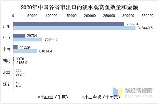 2020年中国淡水观赏鱼进出口分析，出口量下降，进口量上升-18.jpg
