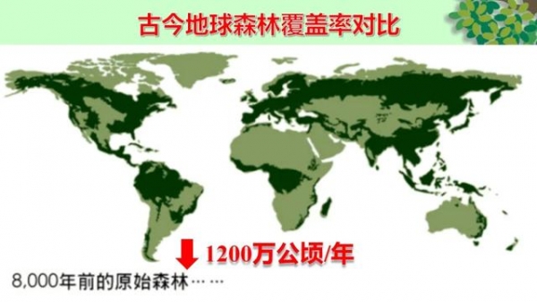 科普 | 与木相伴 取之有道-2.jpg