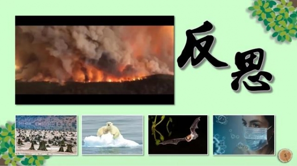 科普 | 与木相伴 取之有道-3.jpg