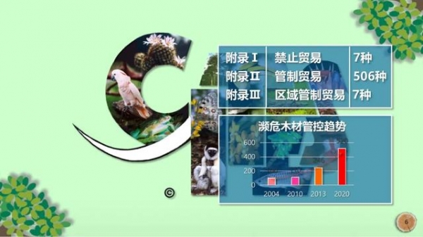 科普 | 与木相伴 取之有道-4.jpg