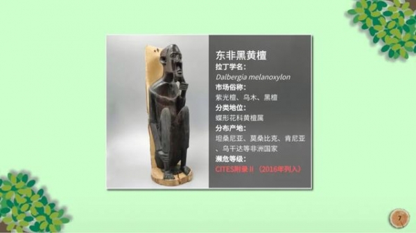 科普 | 与木相伴 取之有道-5.jpg