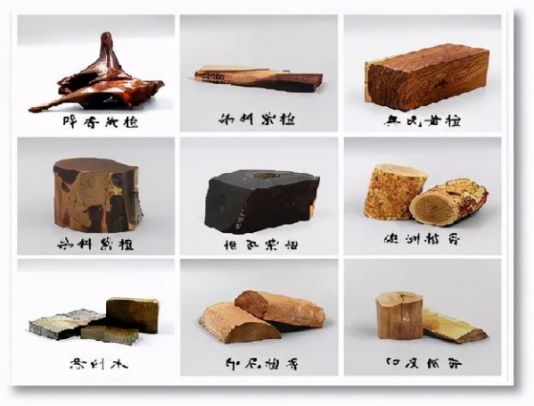 科普 | 与木相伴 取之有道-8.jpg
