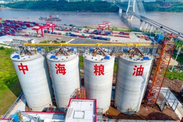 进出口企业骤增500多家 自贸区助力泸州打造“粮食大通道”-2.jpg