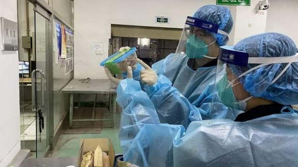 筑牢国门生物安全防线 北京海关截获境外邮寄活体甲虫13只-1.jpg