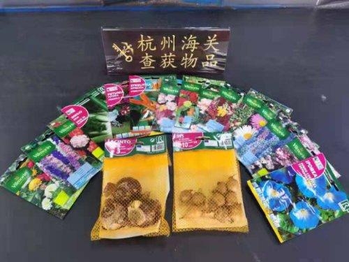 温州海关销毁300多公斤的肉肠、海参等物品，原来这些物品都是禁止进境物-2.jpg