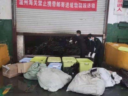 温州海关销毁300多公斤的肉肠、海参等物品，原来这些物品都是禁止进境物-3.jpg