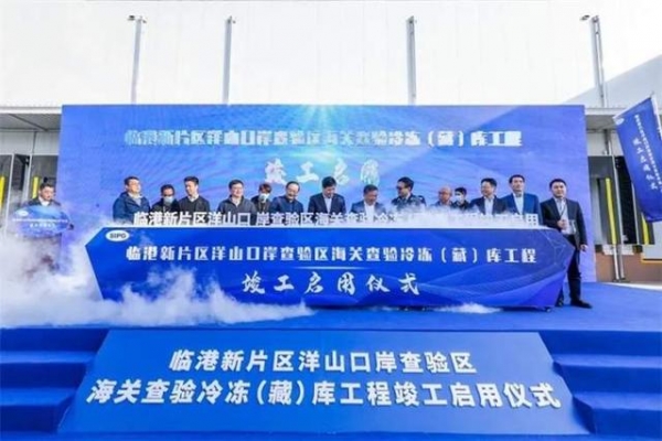 最新！洋山口岸查验区海关查验冷冻（藏）库工程启用-1.jpg
