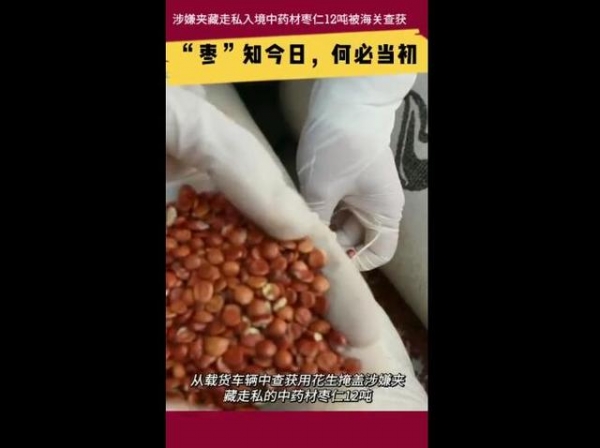 冒充花生企图蒙混过关 昆明海关查获走私中药材枣仁12吨-2.jpg
