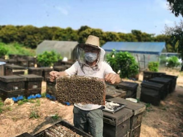 拱北海关对出口蜂产品原料养殖场首次采用“云评审”-1.jpg