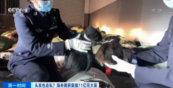 头发也走私？海关破获案值11亿元人发走私大案，团伙五年走私人发1200吨-3.jpg